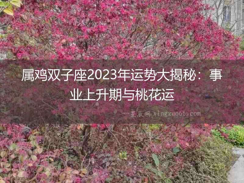屬雞雙子座2023年運(yùn)勢(shì)大揭秘：事業(yè)上升期與桃花運(yùn)