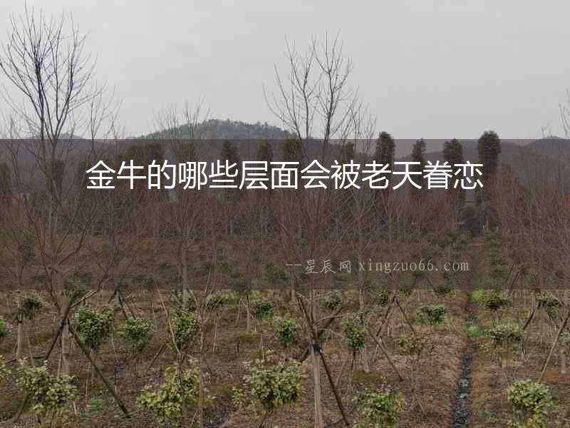 金牛的哪些層面會(huì)被老天眷戀