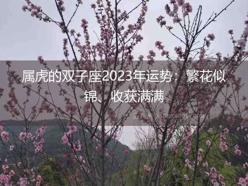 屬虎的雙子座2023年運勢：繁花似錦、收獲滿滿
