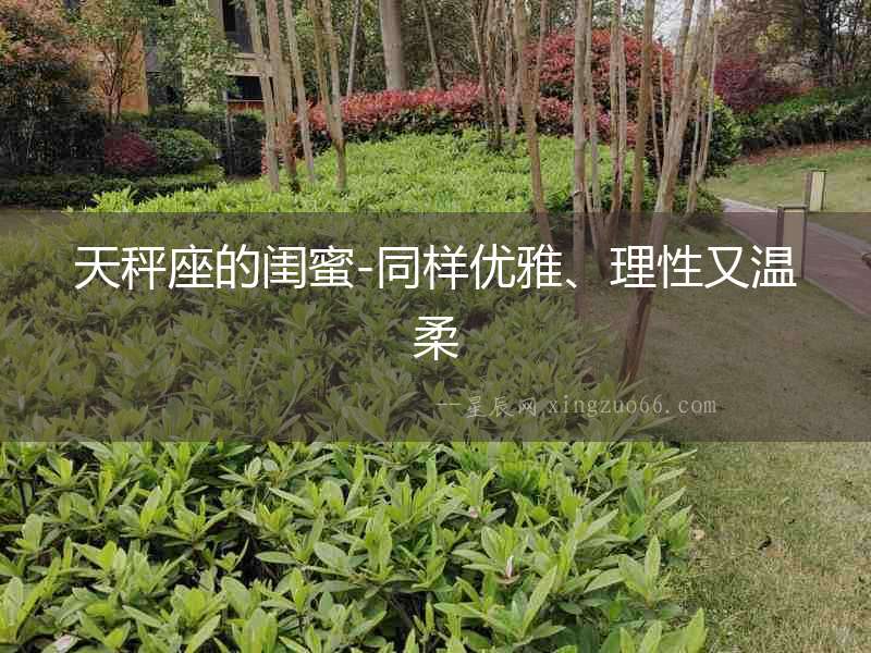 天秤座的閨蜜-同樣優雅、理性又溫柔
