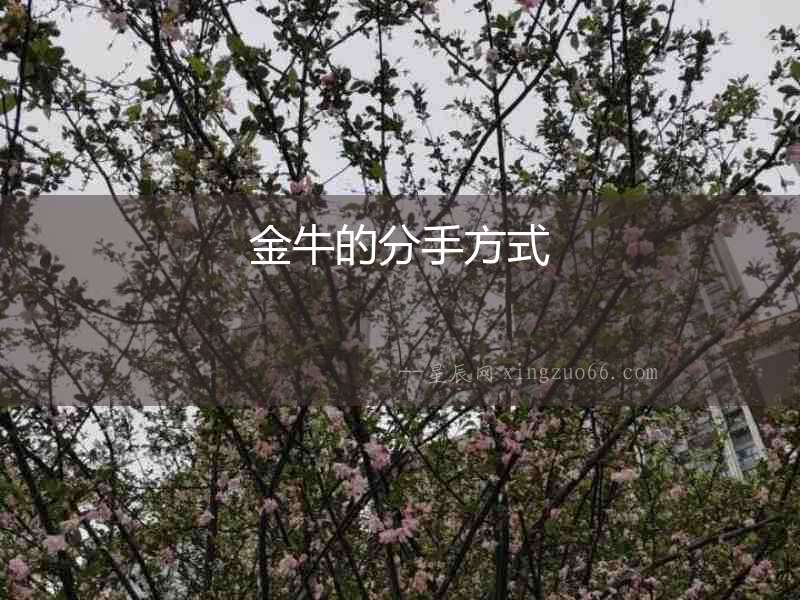 金牛的分手方式