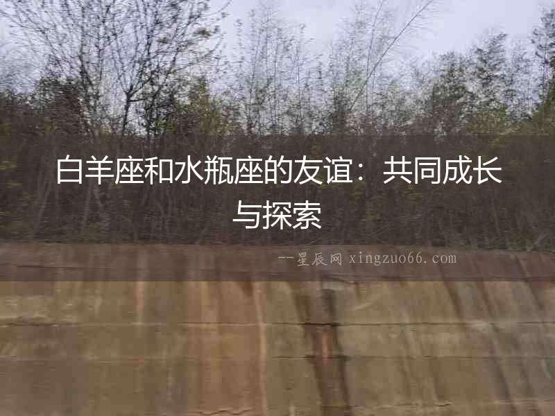 白羊座和水瓶座的友誼：共同成長與探索