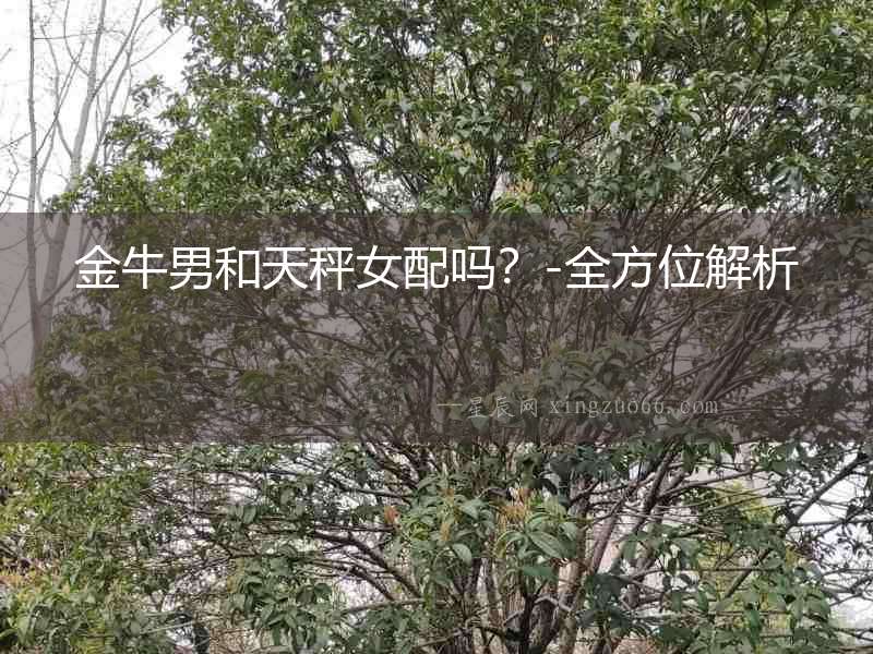 金牛男和天秤女配嗎？-全方位解析
