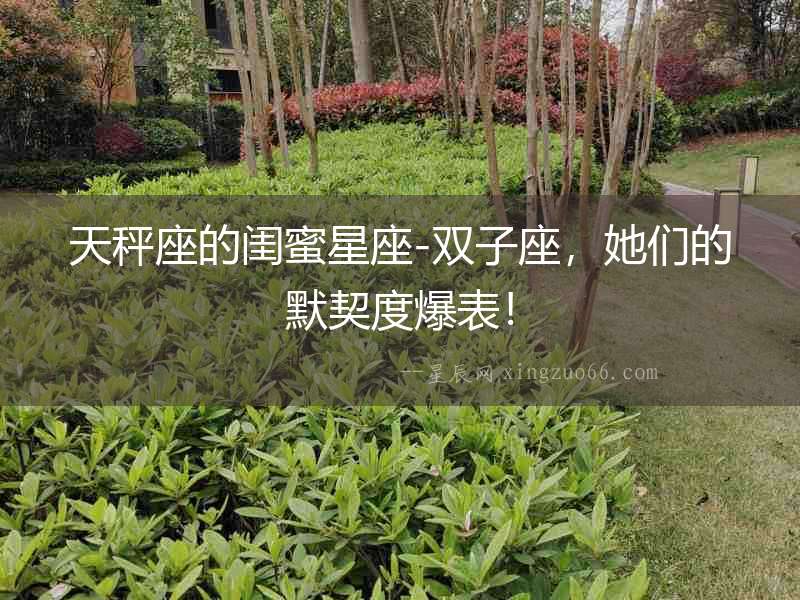 天秤座的閨蜜星座-雙子座，她們的默契度爆表！