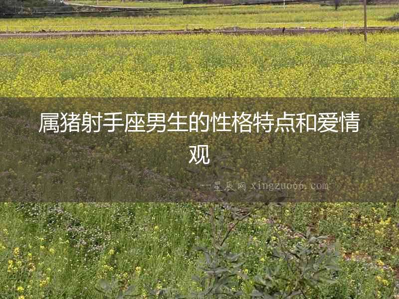 屬豬射手座男生的性格特點和愛情觀