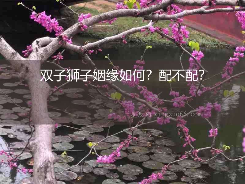 雙子獅子姻緣如何？配不配？