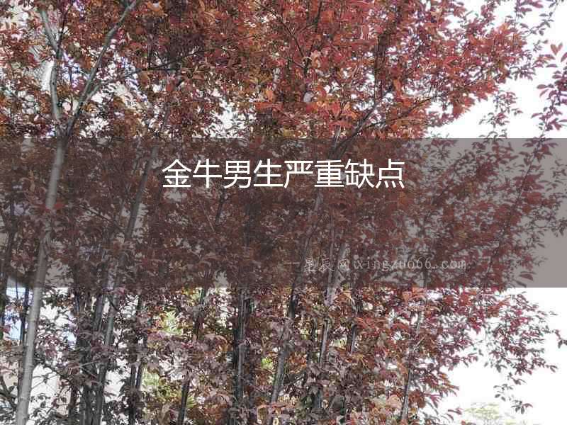 金牛男生嚴(yán)重缺點(diǎn)
