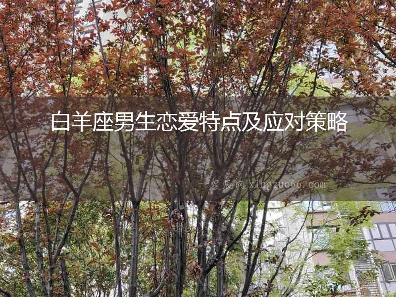 白羊座男生戀愛特點及應(yīng)對策略