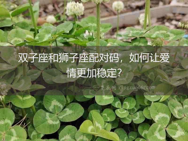 雙子座和獅子座配對碼，如何讓愛情更加穩定？
