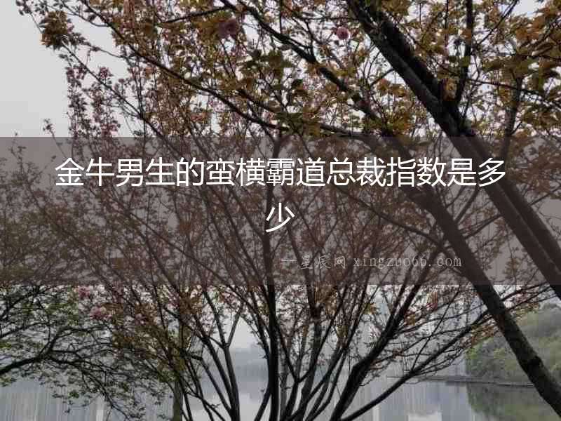 金牛男生的蠻橫霸道總裁指數(shù)是多少