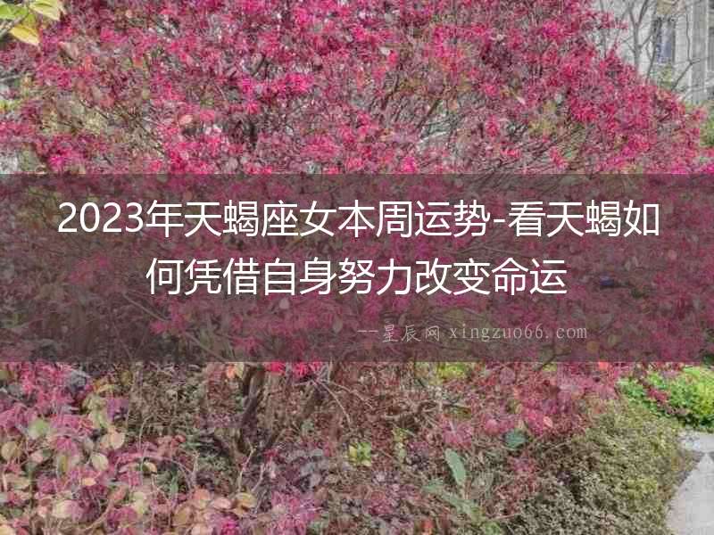 2023年天蝎座女本周運勢-看天蝎如何憑借自身努力改變命運