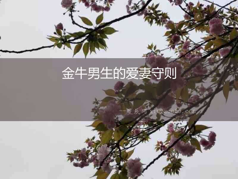 金牛男生的愛妻守則
