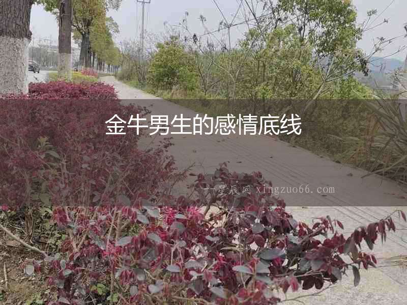 金牛男生的感情底線
