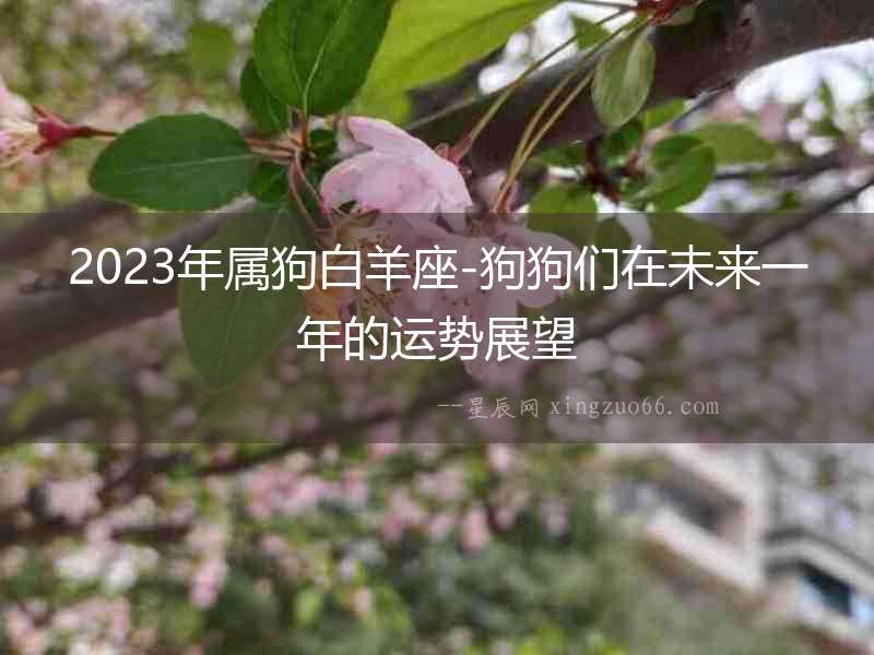 2023年屬狗白羊座-狗狗們在未來一年的運勢展望