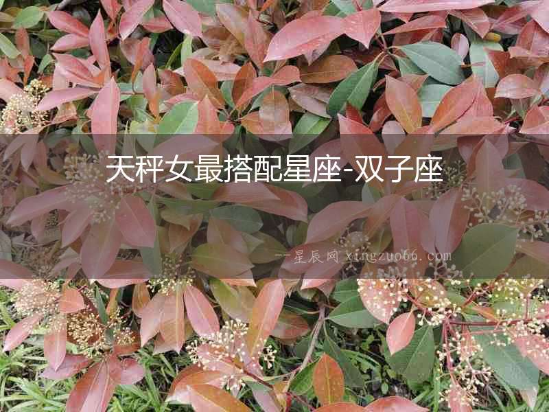 天秤女最搭配星座-雙子座