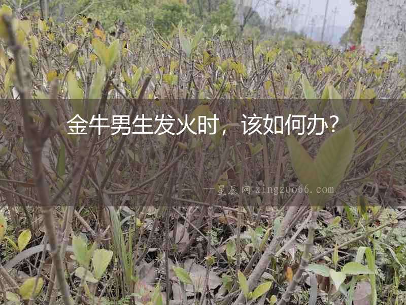 金牛男生發火時，該如何辦？