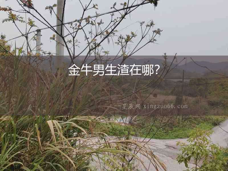 金牛男生渣在哪？