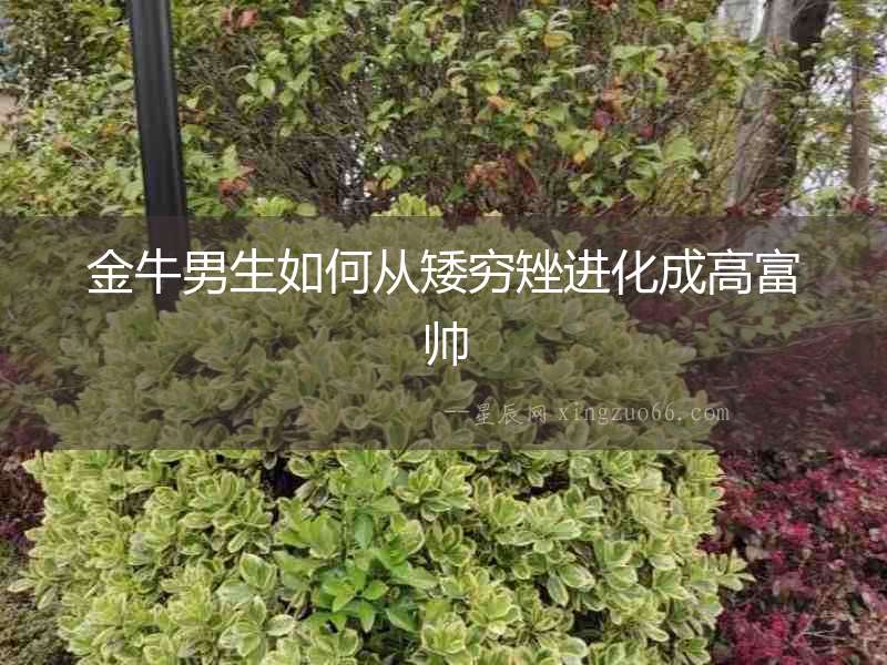 金牛男生如何從矮窮矬進(jìn)化成高富帥