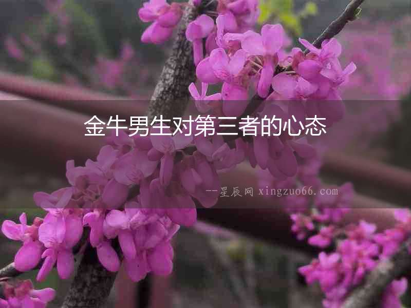 金牛男生對第三者的心態(tài)