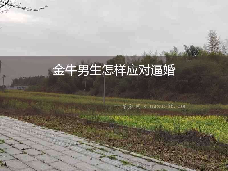 金牛男生怎樣應對逼婚