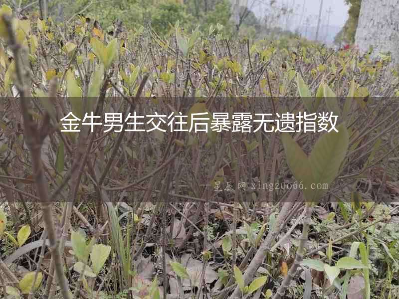 金牛男生交往后暴露無遺指數(shù)