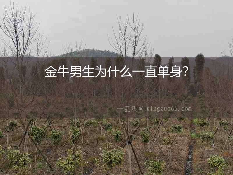 金牛男生為什么一直單身？