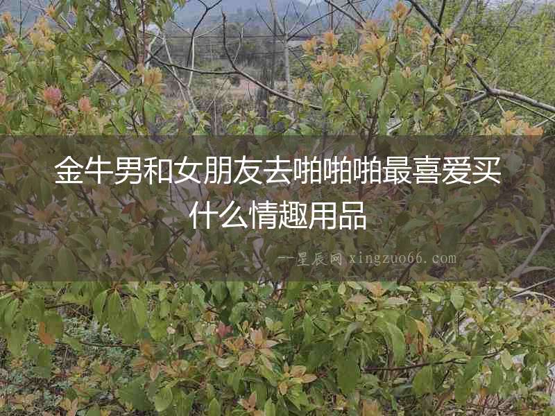 金牛男和女朋友去啪啪啪最喜愛買什么情趣用品