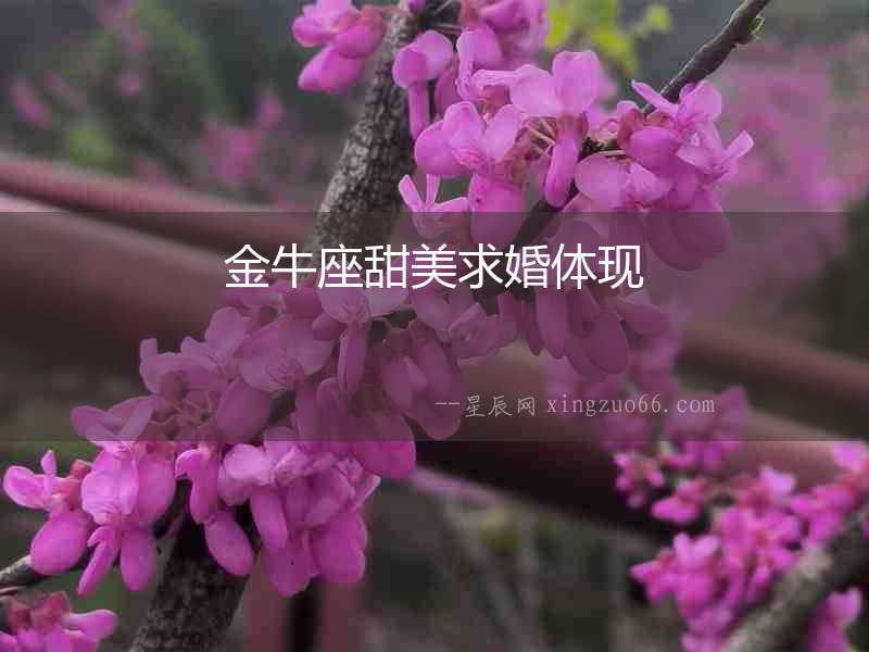 金牛座甜美求婚體現(xiàn)