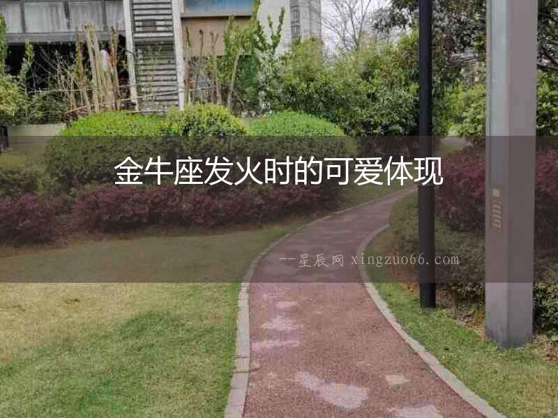 金牛座發(fā)火時(shí)的可愛(ài)體現(xiàn)