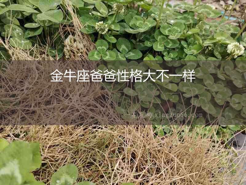 金牛座爸爸性格大不一樣