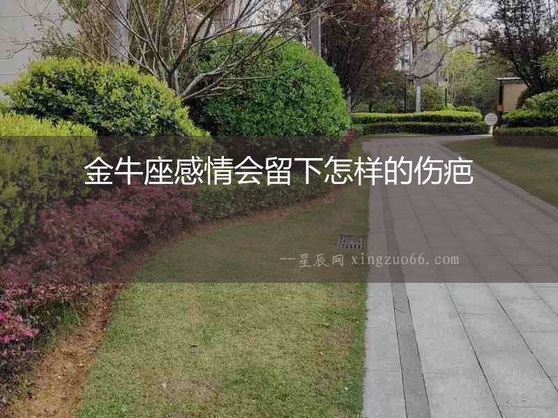 金牛座感情會留下怎樣的傷疤