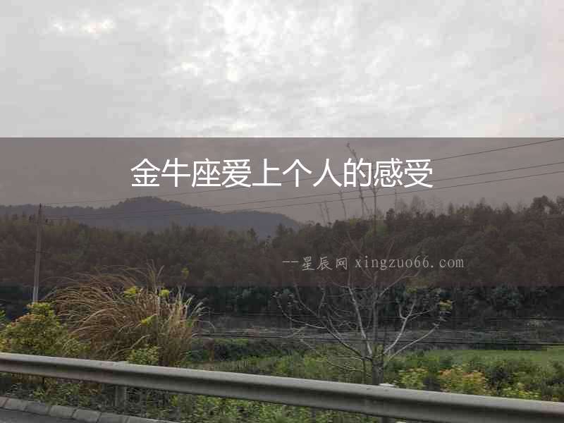 金牛座愛上個(gè)人的感受