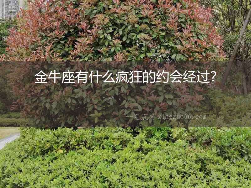 金牛座有什么瘋狂的約會(huì)經(jīng)過？