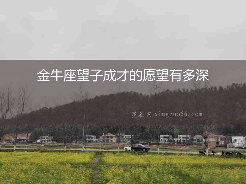 金牛座望子成才的愿望有多深
