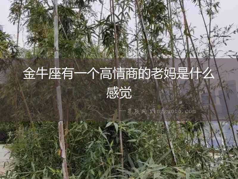 金牛座有一個高情商的老媽是什么感覺