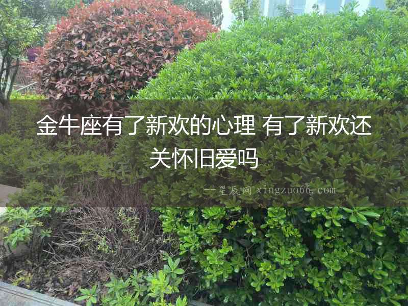 金牛座有了新歡的心理 有了新歡還關懷舊愛嗎