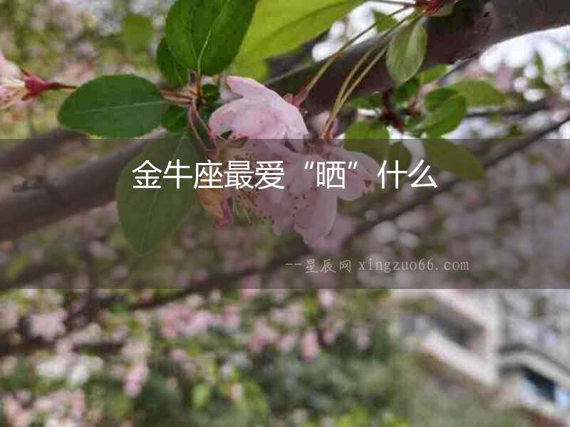 金牛座最愛“曬”什么