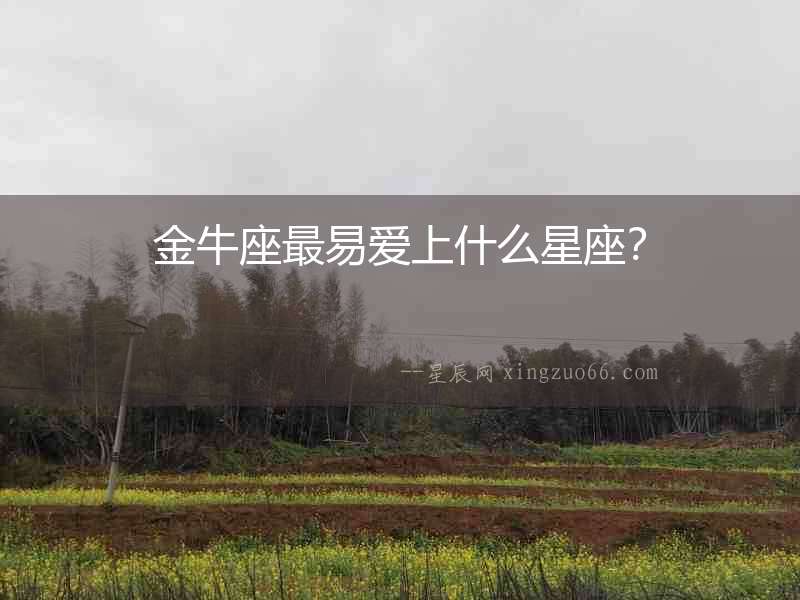 金牛座最易愛上什么星座？