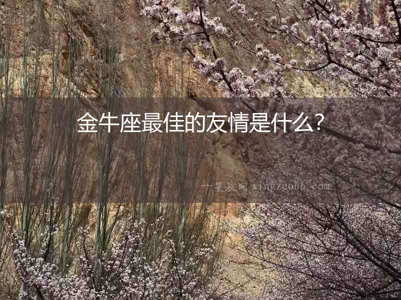 金牛座最佳的友情是什么？