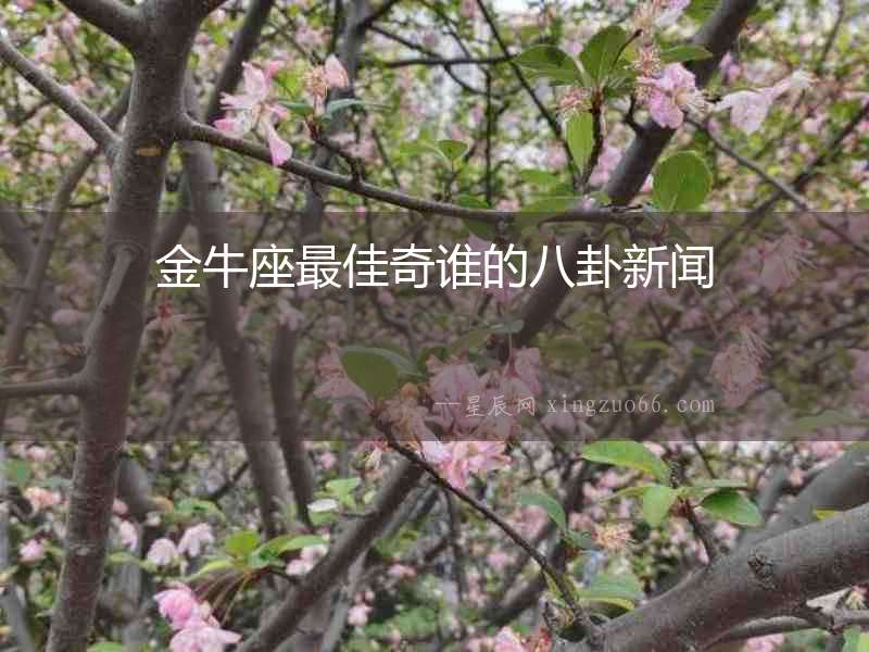 金牛座最佳奇誰(shuí)的八卦新聞
