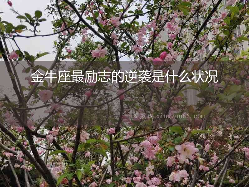 金牛座最勵(lì)志的逆襲是什么狀況
