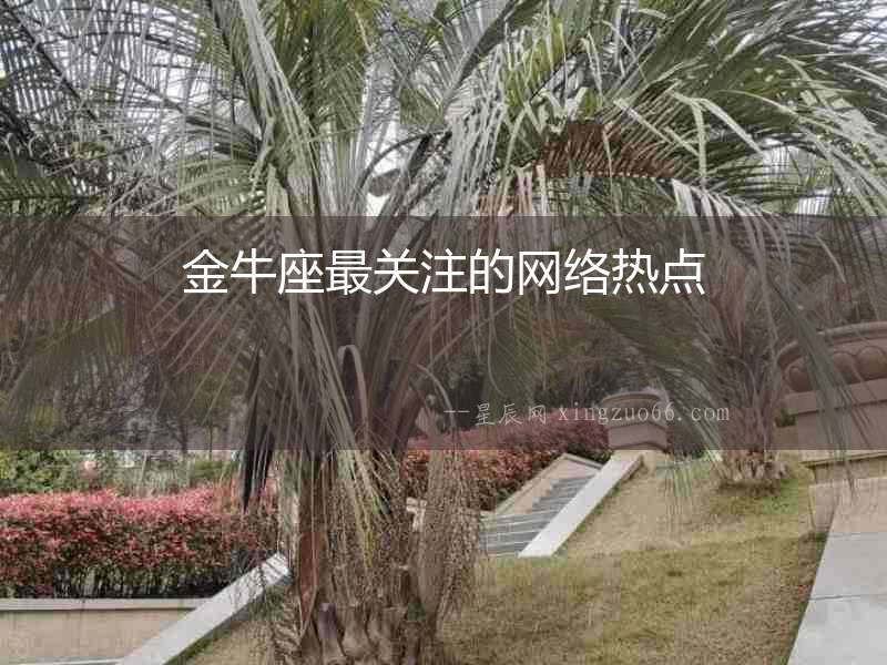 金牛座最關(guān)注的網(wǎng)絡(luò)熱點(diǎn)