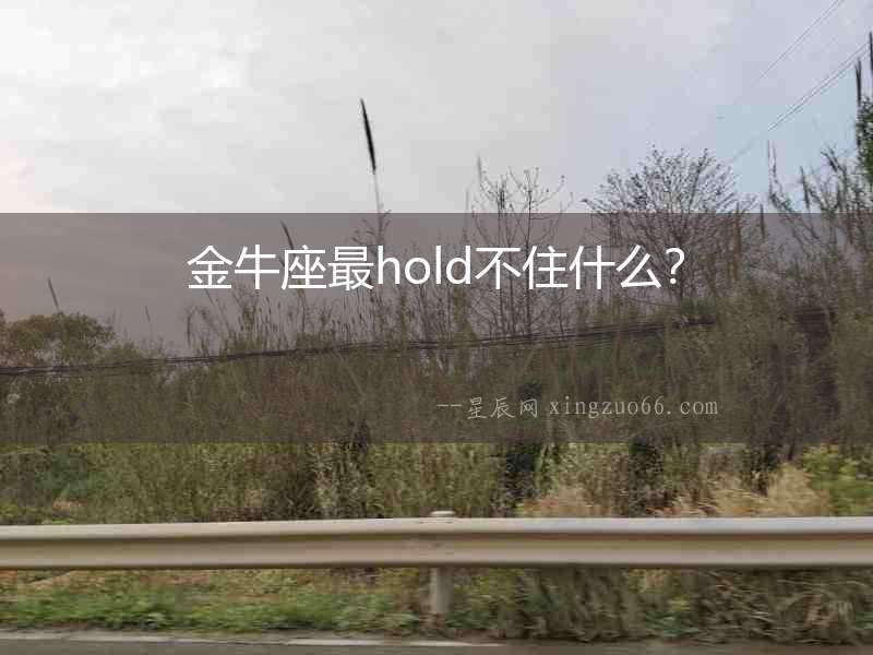 金牛座最hold不住什么？