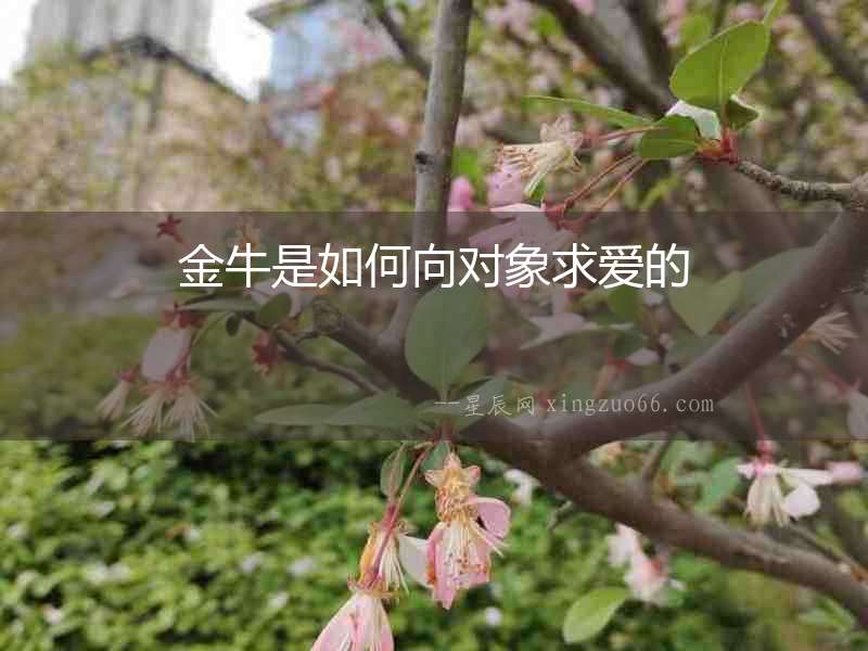金牛是如何向?qū)ο笄髳鄣? alt=