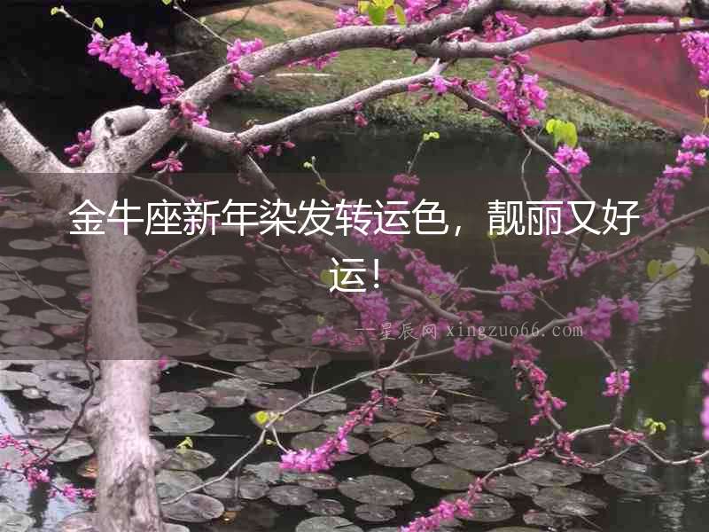 金牛座新年染發(fā)轉(zhuǎn)運色，靚麗又好運！