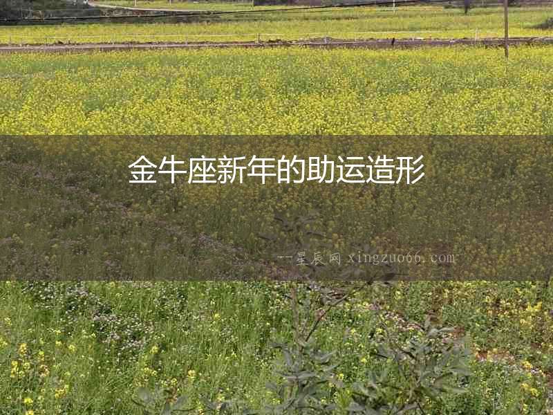 金牛座新年的助運(yùn)造形