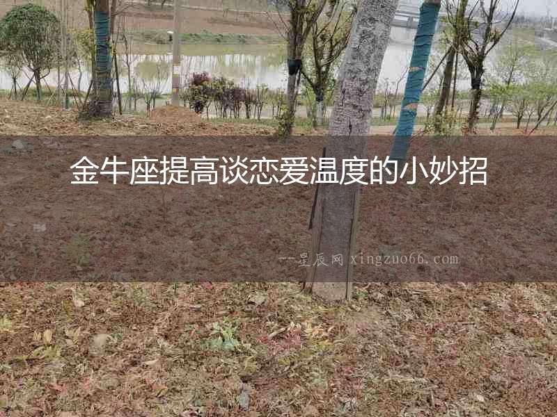 金牛座提高談戀愛(ài)溫度的小妙招