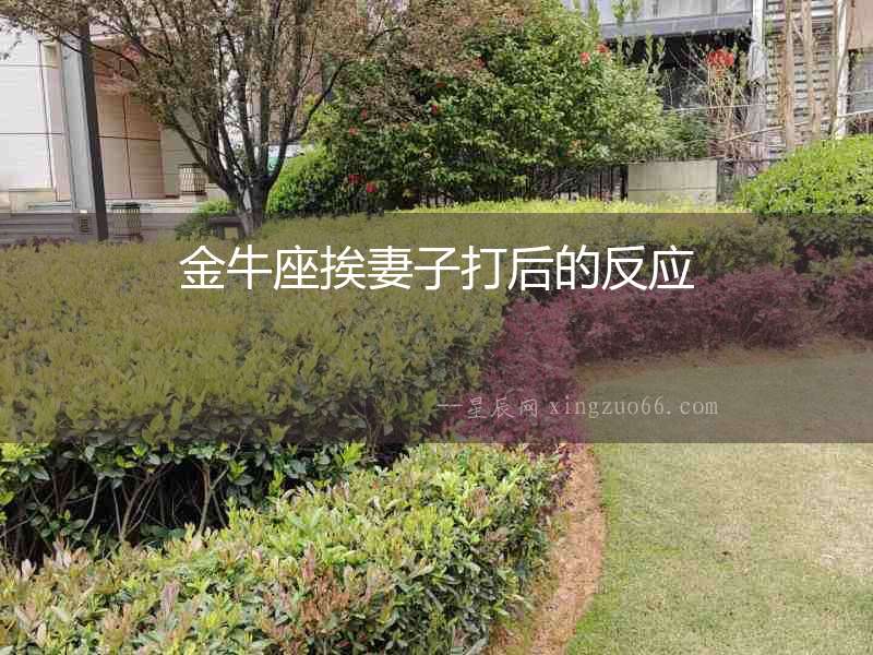 金牛座挨妻子打后的反應