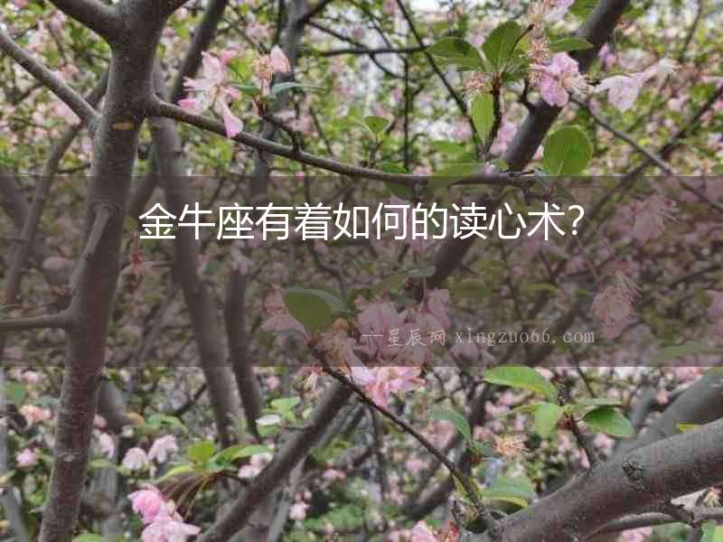 金牛座有著如何的讀心術？