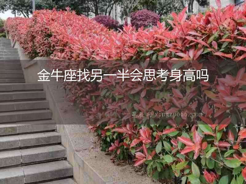 金牛座找另一半會思考身高嗎